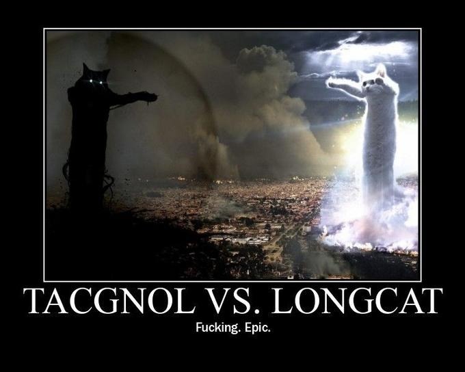 TACGNOL VS. LONGCAT